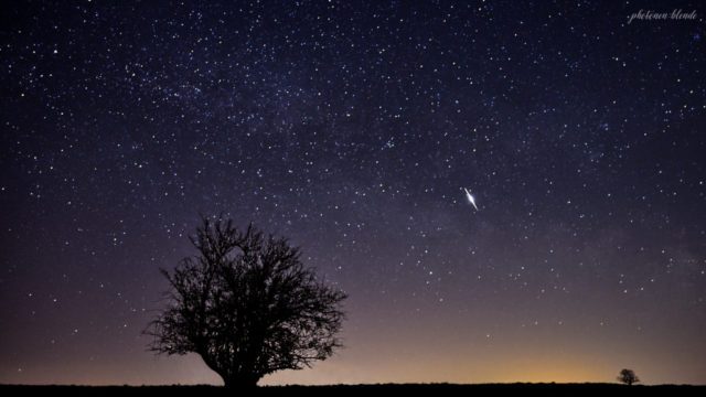 Astrobild - The Tree Of The Universe