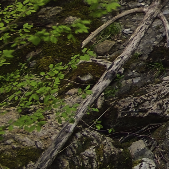 Markierter Bereich Free Fallen